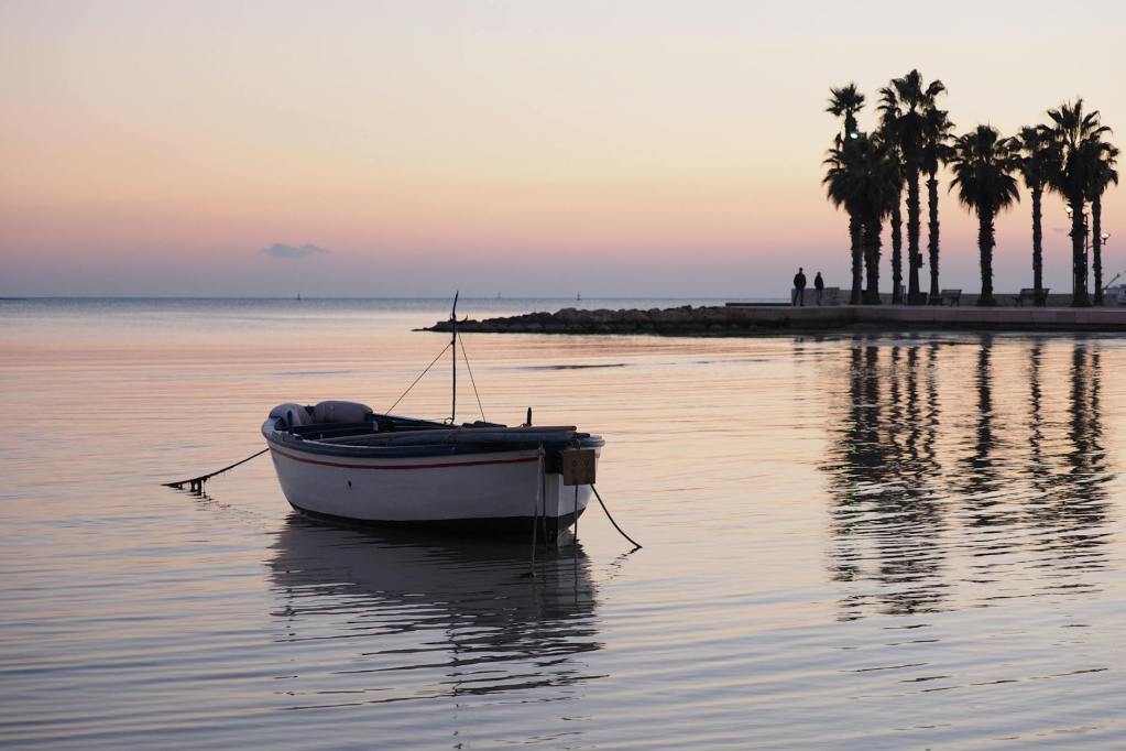 boat on body of water